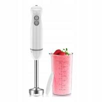 Rankinis trintuvas 1000W Bonsenkitchen nerūdijančio plieno 700 ml