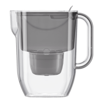 Vandens filtravimo ąsotis AQUAPHOR Fresh Maxfor+, 524643, 3,2 l, pilkas