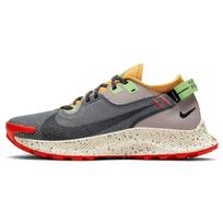 Nike Pegasus Trail 2 Gore Tex Dūminės pilkos spalvos su rusvu atspalviu Moteriški CU2018-002 35.5 beige