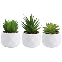 Artificial Succulents Decorative Flower Pot Easy Maintenance set1