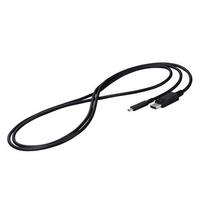 Eizo USB-C to DisplayPort Signal Cable 2m black