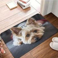 Cat Pattern Welcome Entrance Door Mat Outdoor Front Doormat Room Rugs Hallway Washable Home Decor Living Room Non-slip Floor Mat 40x60cm gray
