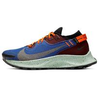 Nike Pegasus Trail 2 Gore Tex Mystic Dates Astronomy Blue Moteriški CU2018-600 36 gray