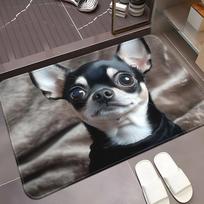 Funny Chihuahua  No Need to Knock  Non-Slip Floor Mat, Humorous Entryway Decorative Rug for Front Door and Kitchen 40x60cm