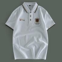 Foreign Trade Cut the Tag off Tail Goods Summer High end Embroidery Pearl Cotton Polo Shirt Men's Business Leisure Lapel Short sleeve T-shirt White M Recommendations 50-62.5kg gray