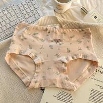 Women's Autumn/Winter Pure Cotton Hip-hugging Floral Briefs with Antibacterial Extended Crotch for Girls L [100-115 lbs] beige