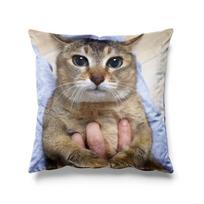 Aertemisi 18'' X 18'' Tole Tole Cat Mei Mei Cat Square Throw Pillow Cushion Covers Cases Pillowcases For Sofa 45Cm X 45Cm 30X30CM