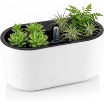 Self-watering flower pot, 10-inch automatic plastic plant pot with water level indicator, indoor pot with drainage black