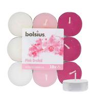 Bolsius tea candle 18 pcs Scented Tealights Orchid 4h Kvepianti žvakė