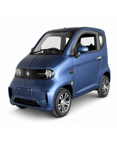 Elektrinis Mini Automobilis J7 1000W/EEC