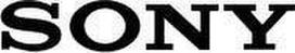 Sony AC ADAPTERIS (100 W) (ACDP-100D01)