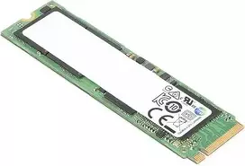 Lenovo 256GB M.2 2242 PCIe NVMe SSD diskas