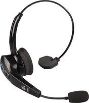 Ausinės Zebra HS3100 su lankeliu ant galvos (HS3100-OTH)
