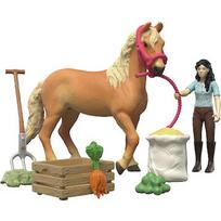 Schleich Horse Club Emily's care set 42797