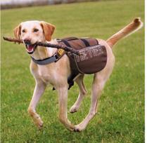 Trixie 28831, Soft pet carrier, Backpack pet carrier, Dog, 7kg, Top & front load, rusvai gelsvas