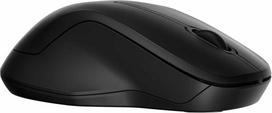 Pelė HP 255 Dual juoda (8R3U1UT)