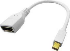 Roline Adapteris DisplayPort, DP moteriškas - Mini DP vyriškas