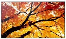 Monitorius Sharp M982 98IN UHD LFD D-LED - 24/7 550CD SDM CM SLOT