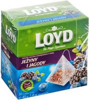 Art Maisto prekės Krepšelis EXPRESS TEA LOYD Blackberry/Blueberry pud 20 vnt.