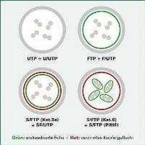 Value Vertė VERTĖ - Patch kabelis - RJ-45 (M) iki RJ-45 (M) - 7 m - UTP - CAT 6a - formos, be kablio - raudona, RAL 3000 (21.99.1426)