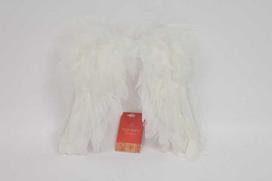 Radziszewska Jewellery Topgifts Angelo sparnai TG79209 57701