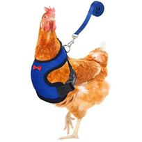 1 Pcs Fashion Chicken Duck Vest Hen Belt Pet Harness Matching Collars Bow Comfortable Leads Breathable Poultry Supply (Blue,XS（old）)