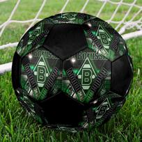 Borussia Soccer Ball Size 5 Colorful Machine Stitched PVC Competition Ready Durable High-Bounce