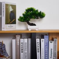 Dirbtiniai plastikiniai augalai Bonsai Mažas medžio vazonas Netikras augalas vazoninis gėlių sodas Papuošalai Kambarių namų stalo dekoravimas 1pc