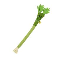1PC Cat Chew Toys Catnip Cat Teeth Cleaning Toy Interactive Self Playing Catnip Molar Stick Toys Bite Squeaky Cat Toy žalia