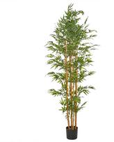 Beliani Dirbtinis augalas BAMBOO 220 cm žalias