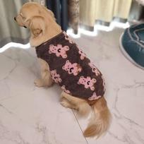 Golden Retriever & Corgi Winter Vest - Bear Print, Large, Plus Velvet Warmth XS (1-3 jin) gray