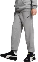 Puma Kelnės Paaugliams Ess No. 1 Logo Sweatpants Pilkas 684914 03