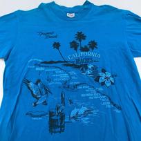 vintage 90s CALIFORNIA BEACHES T-Shirt MEDIUM surf skate 3XL blue