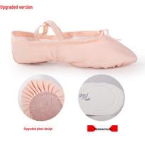 Kačių nagų baleto batai suaugusiems ir vaikams – raudoni, minkšta apatinė drobiniai šokių batai vyrams ir moterims, 1002L Size 27 white