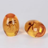 Gintaro Ovalus Uodų Dervos Svarstyklių Ornamentas Dovana 7.6 x 5.8 cm gintaras