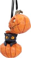 Nemesis Now Nemesis - Whisper Wood - Pumpkin and Patch Hanging Ornament
