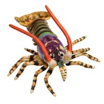 Colorful Lobster Plush Toy Stuffed Throw Pillow - Lifelike Design Creative Home Decor Funny Christmas Gift Vivid Lobster Theme 55cm juoda