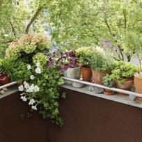 Balkono uždanga Patio Tress, ruda, 1,1 x 20 m