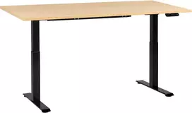 Beliani Elektriškai reguliuojamas stalas DESTINES juodas / šviesiai rudas 180 cm 72 cm