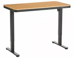 Beliani Elektriškai reguliuojamas stalas PENLY juodas / šviesiai rudas 120 cm 60 cm su USB jungtimi
