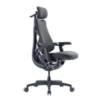 LiberNovo Omni GEN 48 cm Ergonomic Chair (Graphite), Krzesło ergonomiczne LiberNovo Omni GEN 48cm (grafitowe)