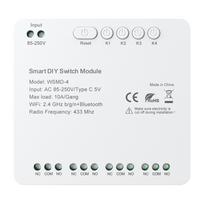 DIY Avatto WSMD-4 250V smart switch module | WSMD-4-250V | 6976037361695