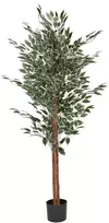 Beliani Dirbtinis augalas FICUS 167 cm žalias