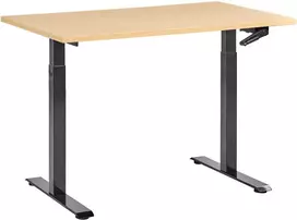 Beliani Reguliuojamo aukščio rašomasis stalas DESTINES juodas/šviesiai rudas 120 cm 72 cm