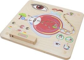 MASTERKIDZ Montessori edukacinė lenta Regos