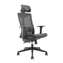 Biuro kėdė - Lumi Legend High-Back Mesh Chair with Lumbar Support, Black
