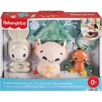 Fisher-Price sensorinis dovanų rinkinys Pasaulis pojūčių, 4 vnt.