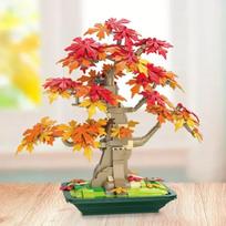Klevų bonsai kaladėlė