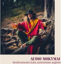 AUDIO MOKYMAI. Bendruomenės įtaka asmeniniam augimui - Ugdymo meistrai