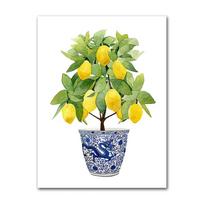 Bonsai Canvas Painting Art Blue White Willow Style Lemon Poster Kitchen Decor Lemon Print  Planter  office decoration 21X30CMNo Framed beige